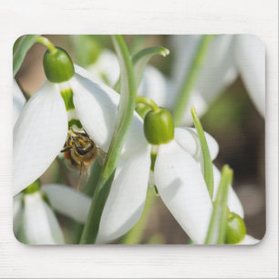 Schneeverfahren-Blume Mousepad