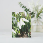 Schneeverfahren-Blume Postkarte (Stehend Vorderseite)