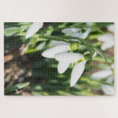 Schneeverfahren-Blume Puzzle (Horizontal)