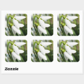 Schneeverfahren-Blume Quadratischer Aufkleber (Blatt)