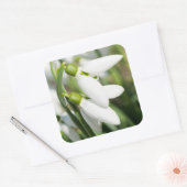 Schneeverfahren-Blume Quadratischer Aufkleber (Umschlag)