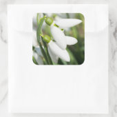 Schneeverfahren-Blume Quadratischer Aufkleber (Tasche)