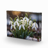 Schneeverfahren Fotoblock (Rechts)