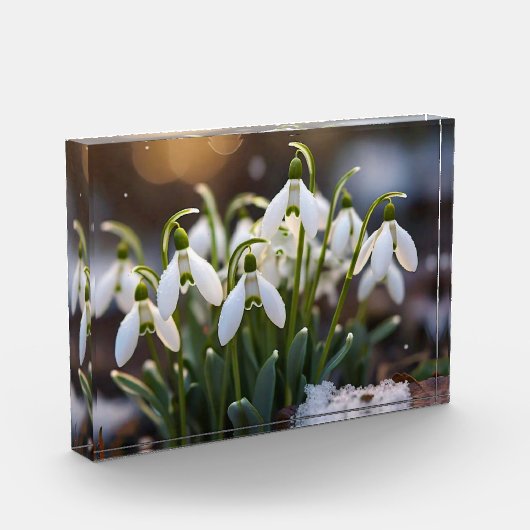 Schneeverfahren Fotoblock (Links)