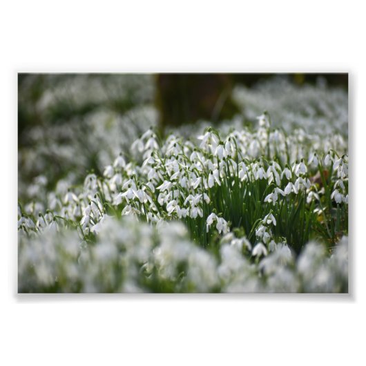 Schneeverfahren Fotodruck (Vorne)