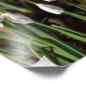 Schneeverfahren Fotodruck (Ecke)