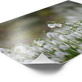 Schneeverfahren Fotodruck (Ecke)