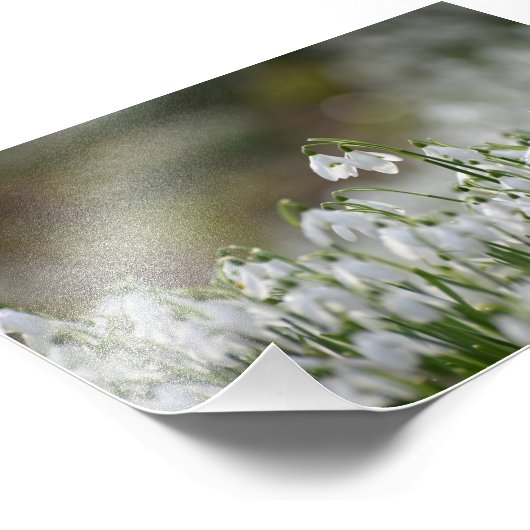 Schneeverfahren Fotodruck (Ecke)