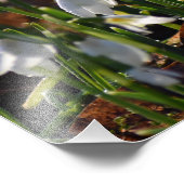 Schneeverfahren Fotodruck (Ecke)