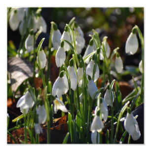 Schneeverfahren Fotodruck