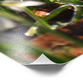 Schneeverfahren Fotodruck (Ecke)