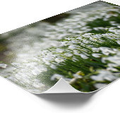 Schneeverfahren Fotodruck (Ecke)