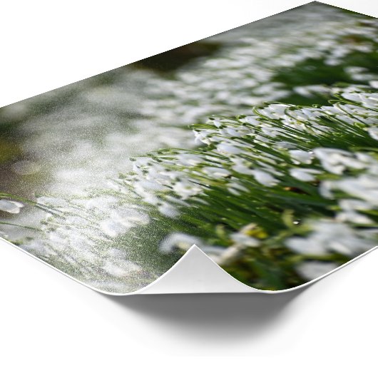 Schneeverfahren Fotodruck (Ecke)