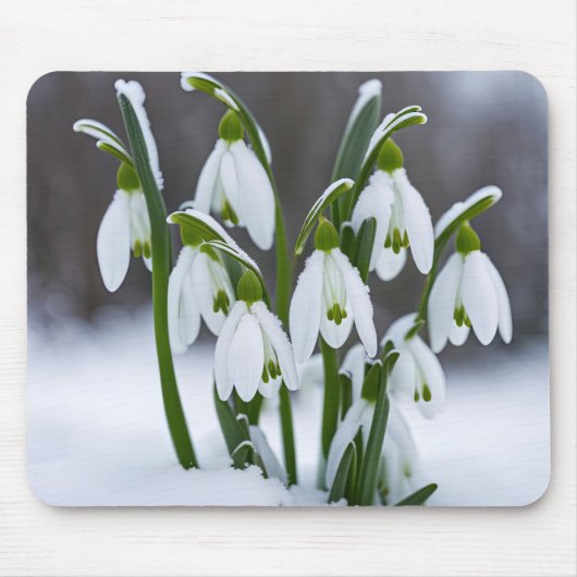 Schneeverfahren im Schnee Mousepad (Vorne)