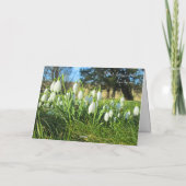 Schneeverfahren in Sunshine - Personalisierter Geb Karte (Rückseite)