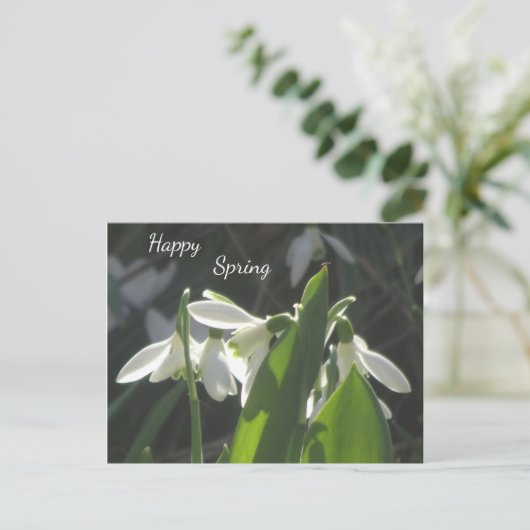 Schneeverfahren Kust. Textpostkarte Postkarte (Stehend Vorderseite)