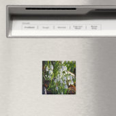 Schneeverfahren Magnet (In Situ (Geschirrspüler))