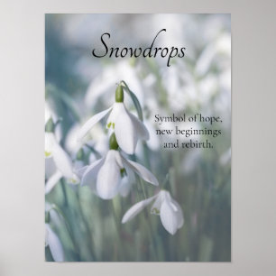Schneeverfahren Poster