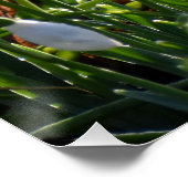 Schneeverfahren Poster (Ecke)