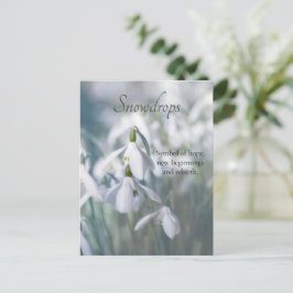 Schneeverfahren Postkarte