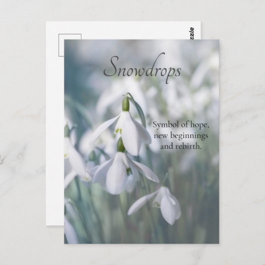 Schneeverfahren Postkarte (Vorne/Hinten)