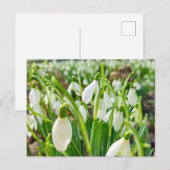 Schneeverfahren Postkarte (Vorne/Hinten)