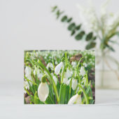 Schneeverfahren Postkarte (Stehend Vorderseite)