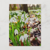 Schneeverfahren Postkarte (Vorderseite)