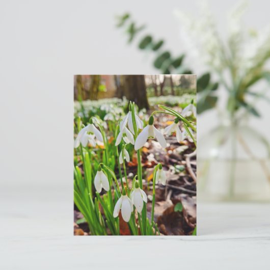 Schneeverfahren Postkarte (Stehend Vorderseite)