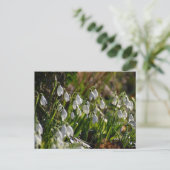 Schneeverfahren Postkarte (Stehend Vorderseite)