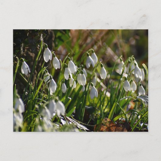 Schneeverfahren Postkarte (Vorderseite)