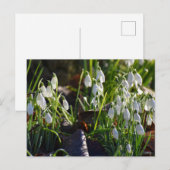 Schneeverfahren Postkarte (Vorne/Hinten)