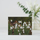 Schneeverfahren Postkarte (Stehend Vorderseite)