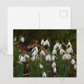 Schneeverfahren Postkarte (Vorne/Hinten)