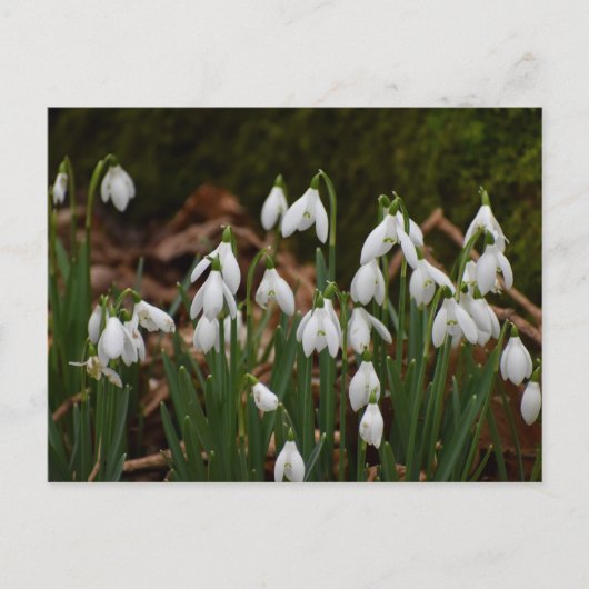 Schneeverfahren Postkarte (Vorderseite)