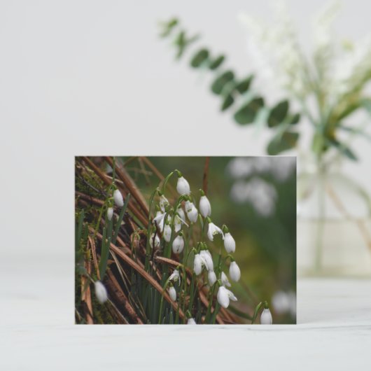 Schneeverfahren Postkarte (Stehend Vorderseite)