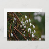 Schneeverfahren Postkarte (Vorne/Hinten)