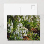Schneeverfahren Postkarte (Vorne/Hinten)