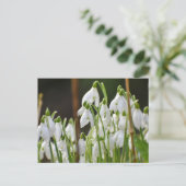 Schneeverfahren Postkarte (Stehend Vorderseite)