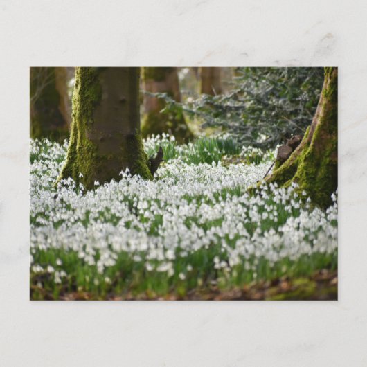 Schneeverfahren Postkarte (Vorderseite)