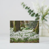 Schneeverfahren Postkarte (Stehend Vorderseite)