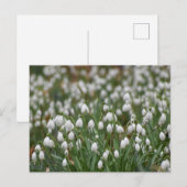 Schneeverfahren Postkarte (Vorne/Hinten)