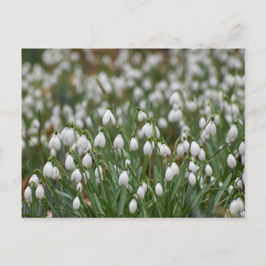 Schneeverfahren Postkarte (Vorderseite)