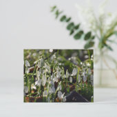 Schneeverfahren Postkarte (Stehend Vorderseite)