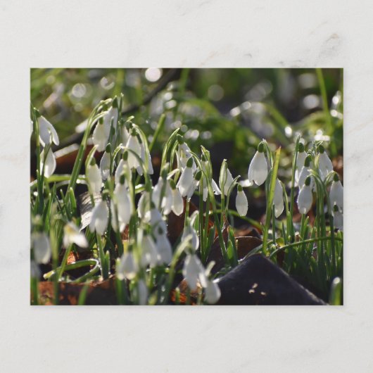 Schneeverfahren Postkarte (Vorderseite)
