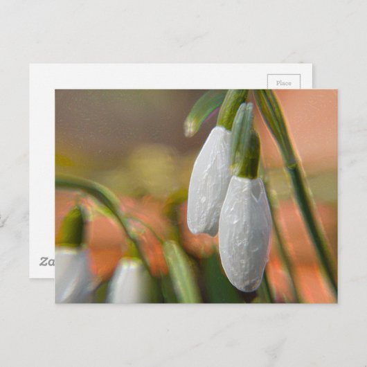 Schneeverfahren Postkarte (Vorne/Hinten)