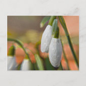 Schneeverfahren Postkarte (Vorderseite)