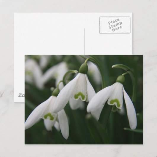 Schneeverfahren Postkarte (Vorne/Hinten)