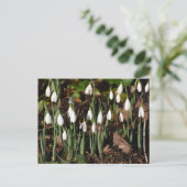 Schneeverfahren Postkarte (Stehend Vorderseite)