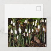 Schneeverfahren Postkarte (Vorne/Hinten)